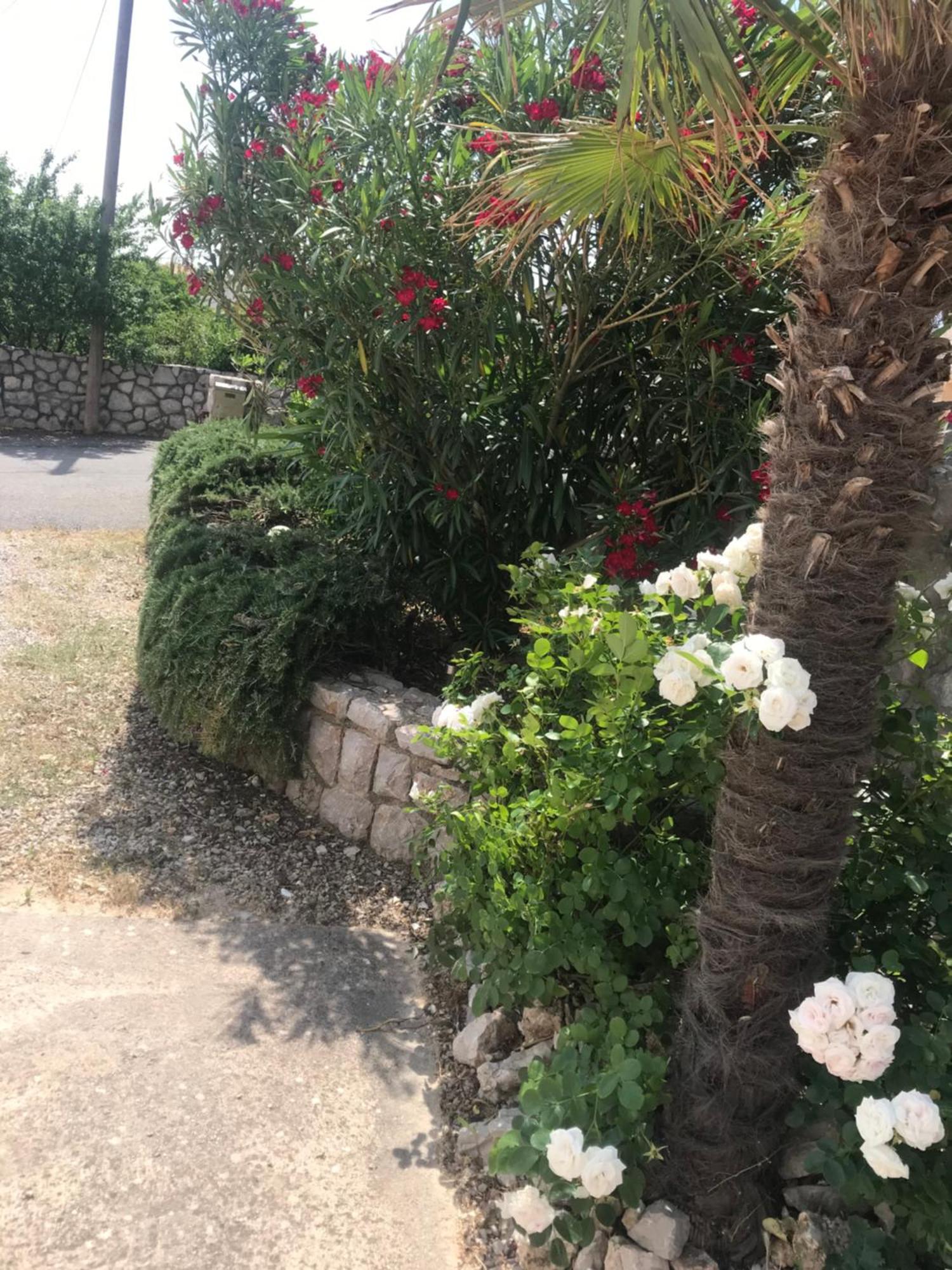 Botic Apartments سيلو المظهر الخارجي الصورة